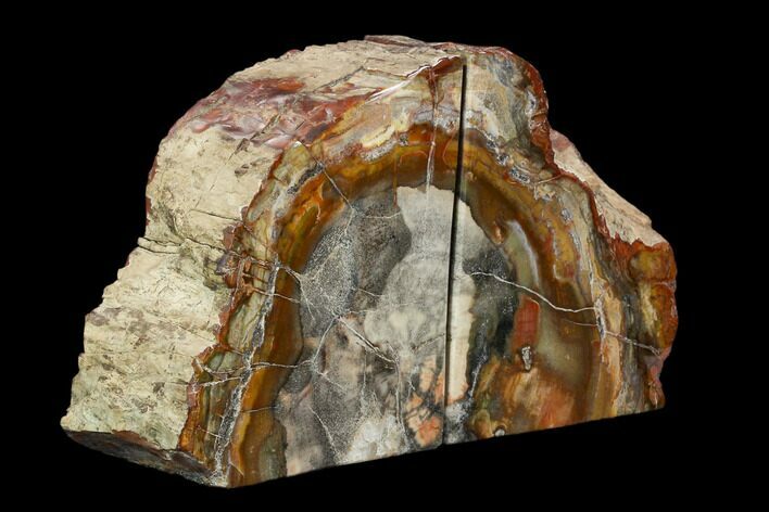 Tall, Colorful Petrified Wood Bookends - Madagascar #129935